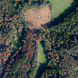 Satellite imagery of Feuerkopf, DE