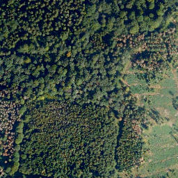 Satellite imagery of Feuerkopf, DE