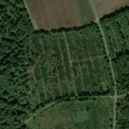 Satellite imagery of Taubenkopf, DE