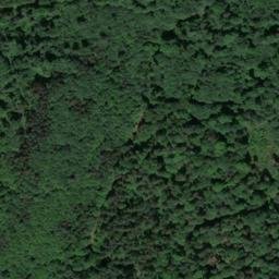 Satellite imagery of Großer Buchberg, DE