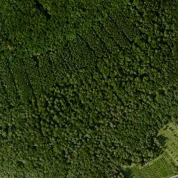 Satellite imagery of Scheinberg, DE