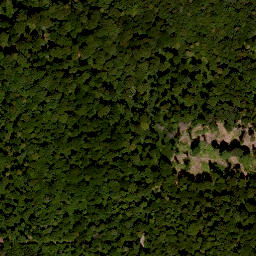 Satellite imagery of Reitberg, DE