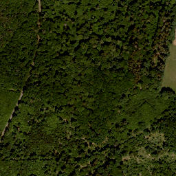 Satellite imagery of Reitberg, DE