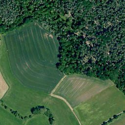 Satellite imagery of Burgstall, DE