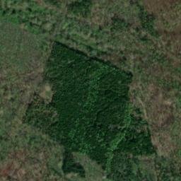Satellite imagery of Bučina [Kaceřov u Kynšperka nad Ohří], CZ