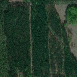 Satellite imagery of Zwonowice - Dwor mysliwski, PL