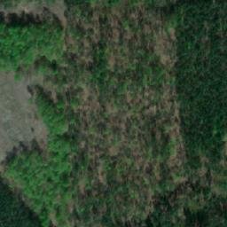 Satellite imagery of Zwonowice - Dwor mysliwski, PL