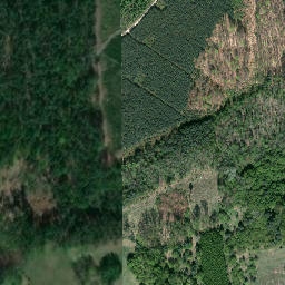 Satellite imagery of Zwonowice - Dwor mysliwski, PL