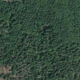 Satellite imagery of Plumper Point, CA