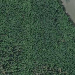 Satellite imagery of Plumper Point, CA