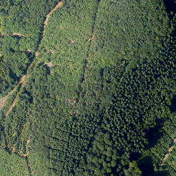 Satellite imagery of Hurtskopf, DE