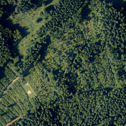 Satellite imagery of Hurtskopf, DE