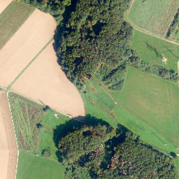 Satellite imagery of Gallscheid, DE
