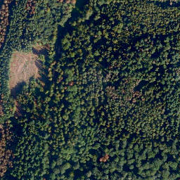 Satellite imagery of Feuerkopf, DE