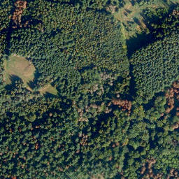 Satellite imagery of Feuerkopf, DE
