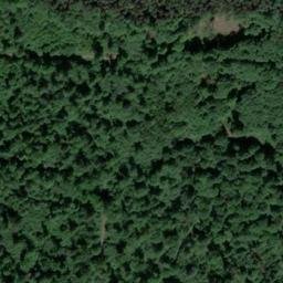 Satellite imagery of Mühlberg, DE