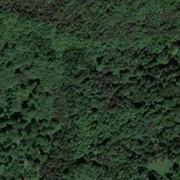 Satellite imagery of Mühlberg, DE