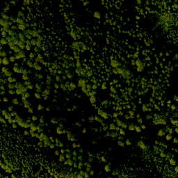 Satellite imagery of Franzosenkopf, DE