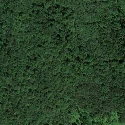 Satellite imagery of Tannenberg, DE