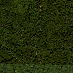 Satellite imagery of Reitberg, DE