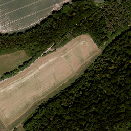 Satellite imagery of Bettenburg, DE