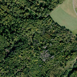 Satellite imagery of Eichberg, DE