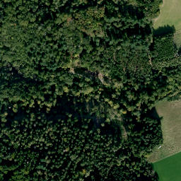 Satellite imagery of Burg Guttenberg, DE