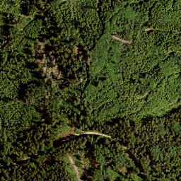 Satellite imagery of Wolfsfels, DE