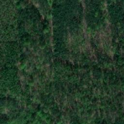 Satellite imagery of Zwonowice - Dwor mysliwski, PL