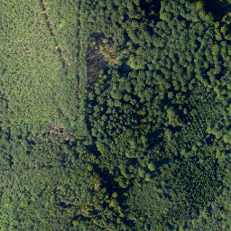 Satellite imagery of Hurtskopf, DE