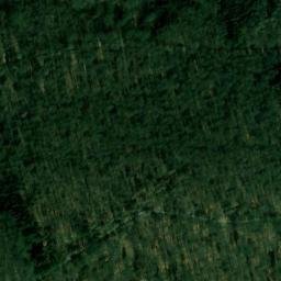 Satellite imagery of Bechtewald, DE
