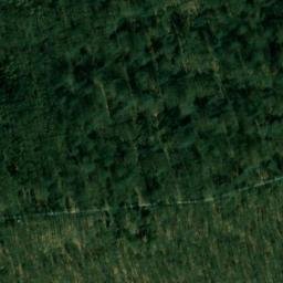 Satellite imagery of Bechtewald, DE