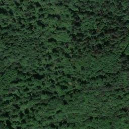 Satellite imagery of Mühlberg, DE