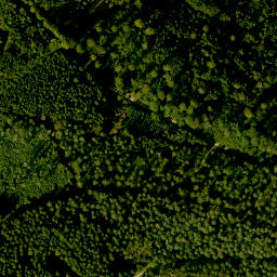 Satellite imagery of Franzosenkopf, DE