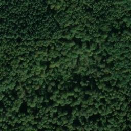 Satellite imagery of Buscher Berg, DE