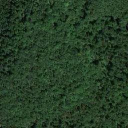 Satellite imagery of Tannenberg, DE