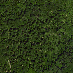 Satellite imagery of Reitberg, DE