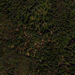 Satellite imagery of Rauhberg, DE