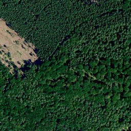 Satellite imagery of Hohhöh, DE