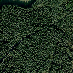 Satellite imagery of Buchrangen, DE