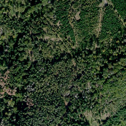 Satellite imagery of Eichberg, DE