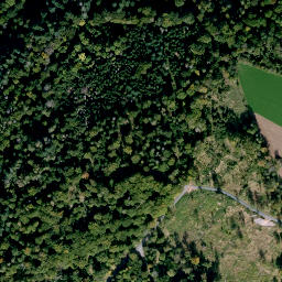 Satellite imagery of Spitzberg, DE