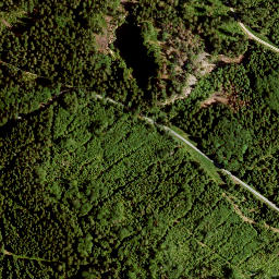 Satellite imagery of Wolfsfels, DE