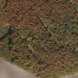 Satellite imagery of Víno [Lovčice u Nového Bydžova], CZ