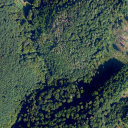Satellite imagery of Pfaffen-Berg, DE