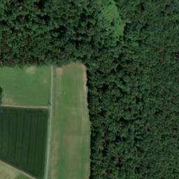 Satellite imagery of Tannenberg, DE