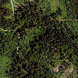 Satellite imagery of Wolfsfels, DE