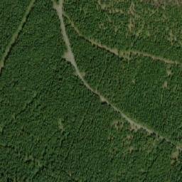 Satellite imagery of Jelení loučky, CZ