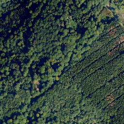 Satellite imagery of Pfaffen-Berg, DE