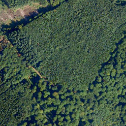 Satellite imagery of Pfaffen-Berg, DE